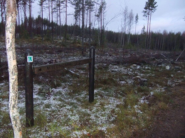 Hakkuu retkeilyreitin vieressä Teijon retkeilyalueella. Kuvattu joulukuussa 2011. Kuva: Hannu Paunila.