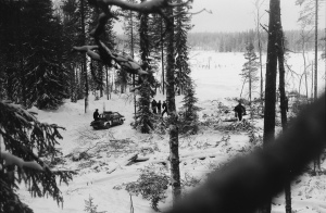 Kuvaaja Jan Kunnas istui puussa Heinosenahon hakkuita estämässä 21.2.1989.