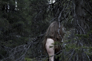 Lauran metsäsuhdeblogin kuva